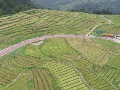 国家林草局协同相关专家考察贵州独山水苔产业发展